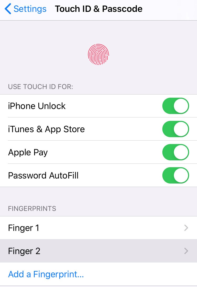 biometric screen